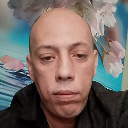 �������, ������, 43 ����