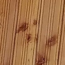 ��������, ������, 60 ���