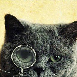 ���� ������, ��������� - ��������� 27 ��� 2025