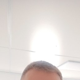 ������, 49 ���, �����