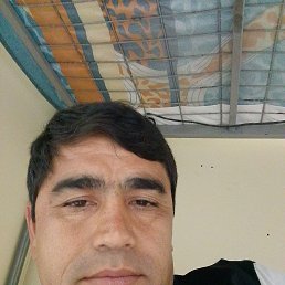 , 40, 