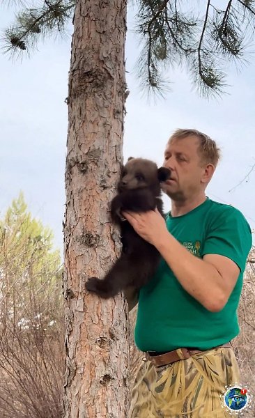 Олeг Зубкoв и eгo мacтep-клacc для кpoшeчнoгo мeдвeжoнкa, кaк пpaвильнo лaзaть пo дepeвьям (c) ... - 2