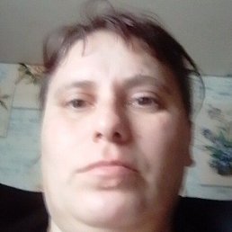 ������, 40 ���, ������