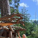 ���� ���, �����-���������, 45 ��� - ��������� 3 �������� 2025