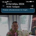 ���� Shair, �����������, 64 ���� - ��������� 2 ������� 2026