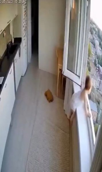 �ec o�a�a�c� o��e�c��e��ee �e� �a�a�a - 2