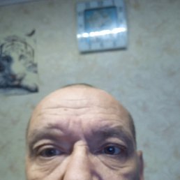 �������, ������, 54 ����