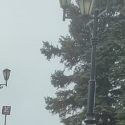 , 29 , 