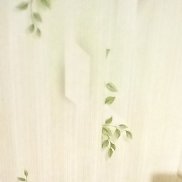 ��������, 36 ���, ������