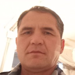 �����, ������, 46 ���