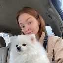 ���� �����, �������, 29 ��� - ��������� 14 ������ 2025 � ������ ���� ����������