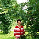 ���� 2024. �� ������� ���� ����������