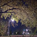 ���� �������, ������������, 46 ��� - ��������� 22 �������� 2024