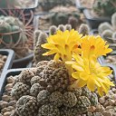 ���� �������, �����, 62 ���� - ��������� 2 ������ 2024 � ������ ���� �����