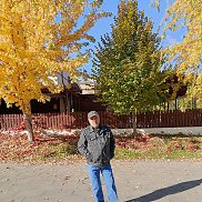 ����, 66 ���, ���������