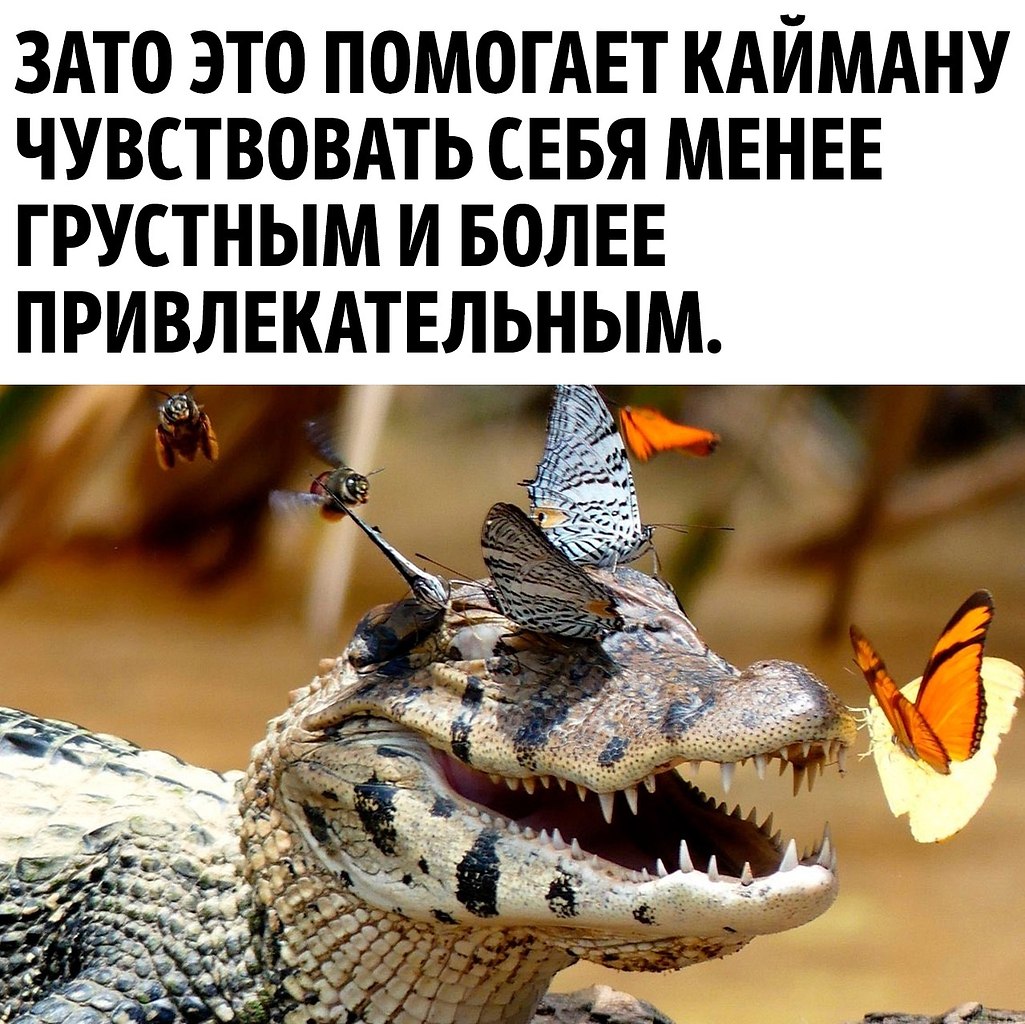      - 3