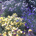 ���� ���������, ���� - ��������� 3 ��� 2025