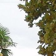 ���������, 70 ���, ������