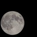 ���� ����, ��������, 34 ���� - ��������� 8 ������ 2026 � ������ ���� ����������