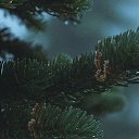 ���� �������, ������, 44 ���� - ��������� 8 ������ 2024 � ������ ���� ����������