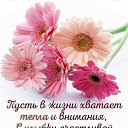 ���� ����, �����-��������� - ��������� 6 ����� 2026 � ������ ������ ��������