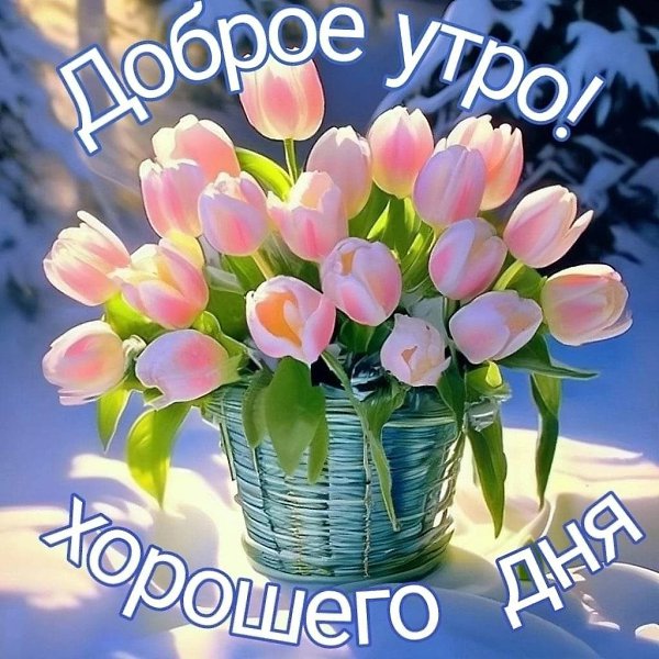   ,    . - 9  2024  22:07 - 5