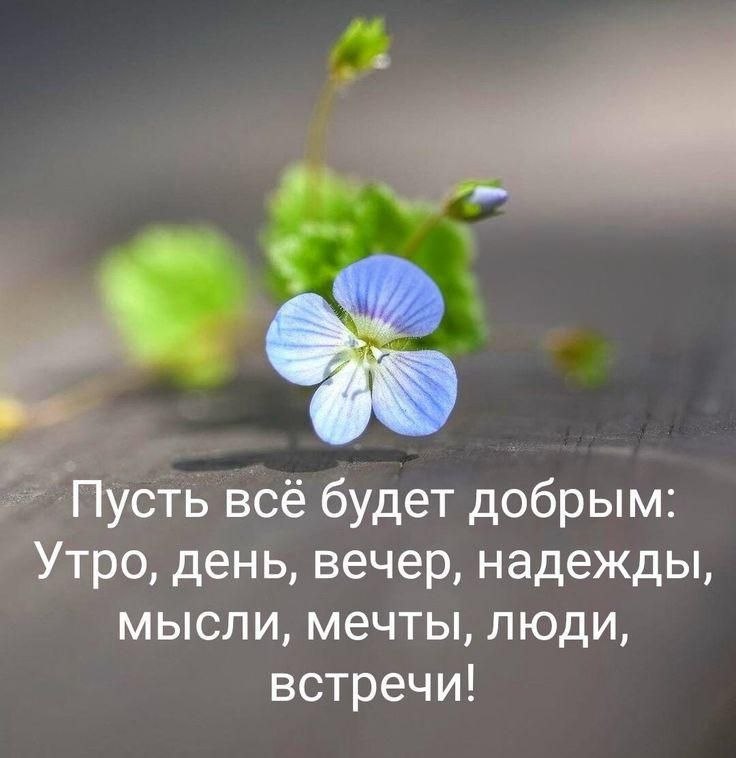 �� ����� ������! - 2 ���� 2026 � 10:35