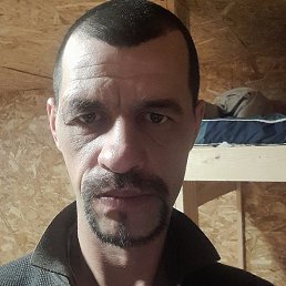 �����, ������, 40 ���