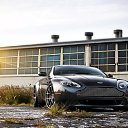 ���� Adriano, ������, 40 ��� - ��������� 8 ������� 2024