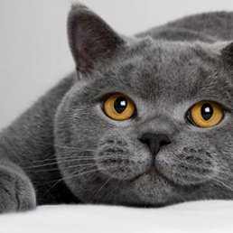 Egor, ������, 18 ���