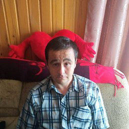 , 36, 