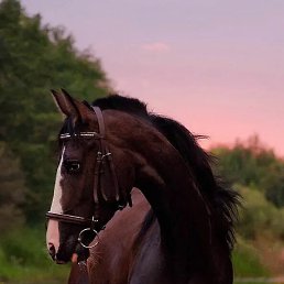 ����, ������, 39 ���