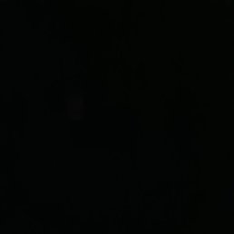 ����, ������, 46 ���