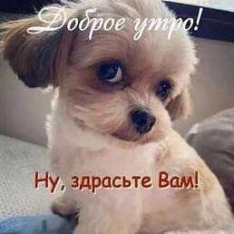 �����, ������, 31 ���