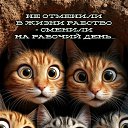 ���� �������, ������� ��������, 49 ��� - ��������� 27 �������� 2025