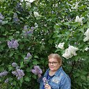 ���� ������, �����, 37 ��� - ��������� 19 ������ 2023 � ������ ���� ����������