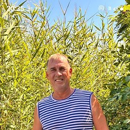 ����� ��������, 53 ����, ��������