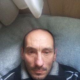�����, 38 ���, ����