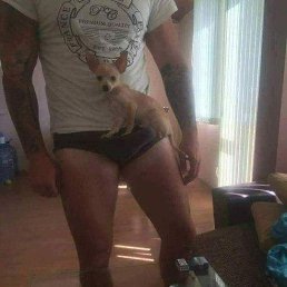 ���� ����, ������, 46 ��� - ��������� 29 ���� 2026