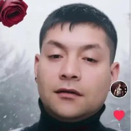 Stefan Andreev, �����, 37 ���