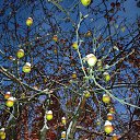 ���� ����, ������, 51 ��� - ��������� 13 ������� 2024 � ������ ���� ����������