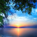 ���� ������, ������, 46 ��� - ��������� 23 ��� 2024