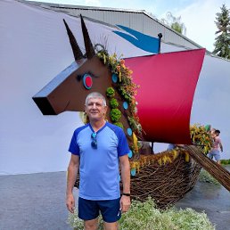 , 62, 