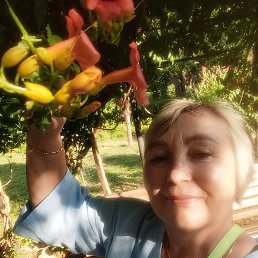 , 59, 