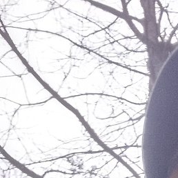 ������, ������, 48 ���