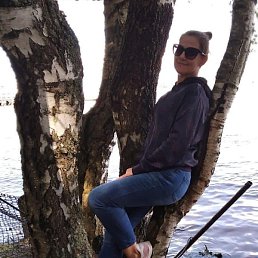 �����, �����-���������, 46 ���