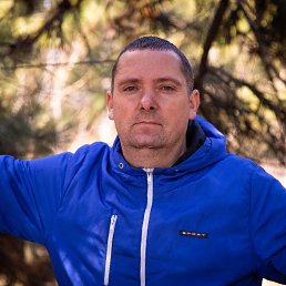 , 44, 