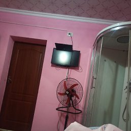 ����, ������, 50 ���