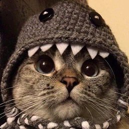 ����, ������� �����, 25 ���