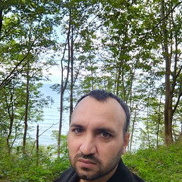 , 34, 